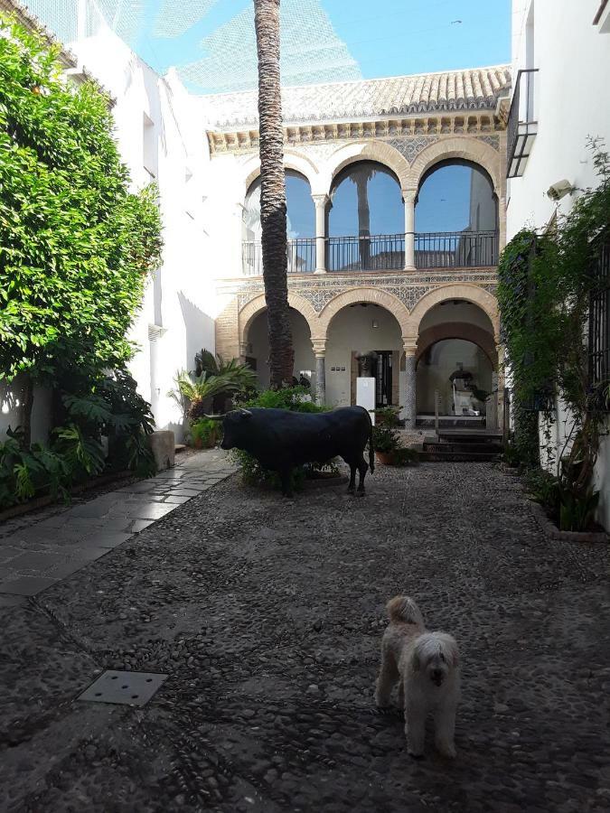 Beside The Roman Wall Appartement Córdoba Buitenkant foto